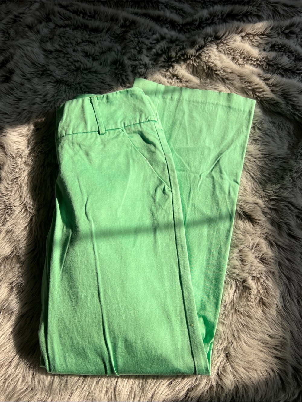 New York & Company Mint Green Chinos
